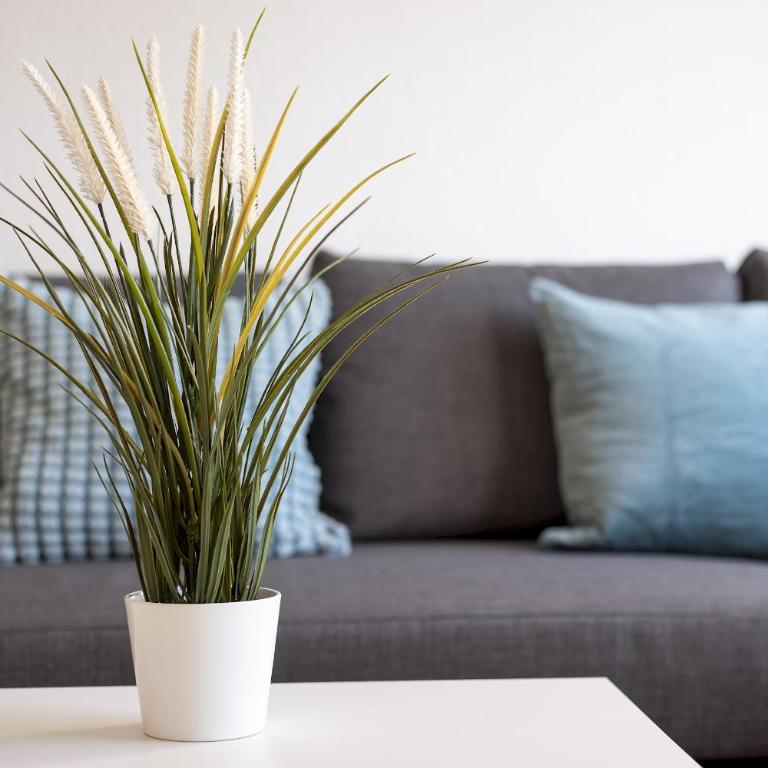 Home2Book Sunny Terrace Pool Costa Calma - Apartamento de 1 dormitorio - 8