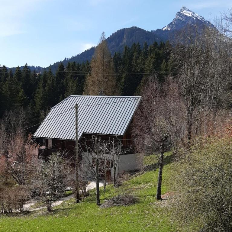Le Chal'heureux grand chalet familial 8 personnes - Chalet - 56