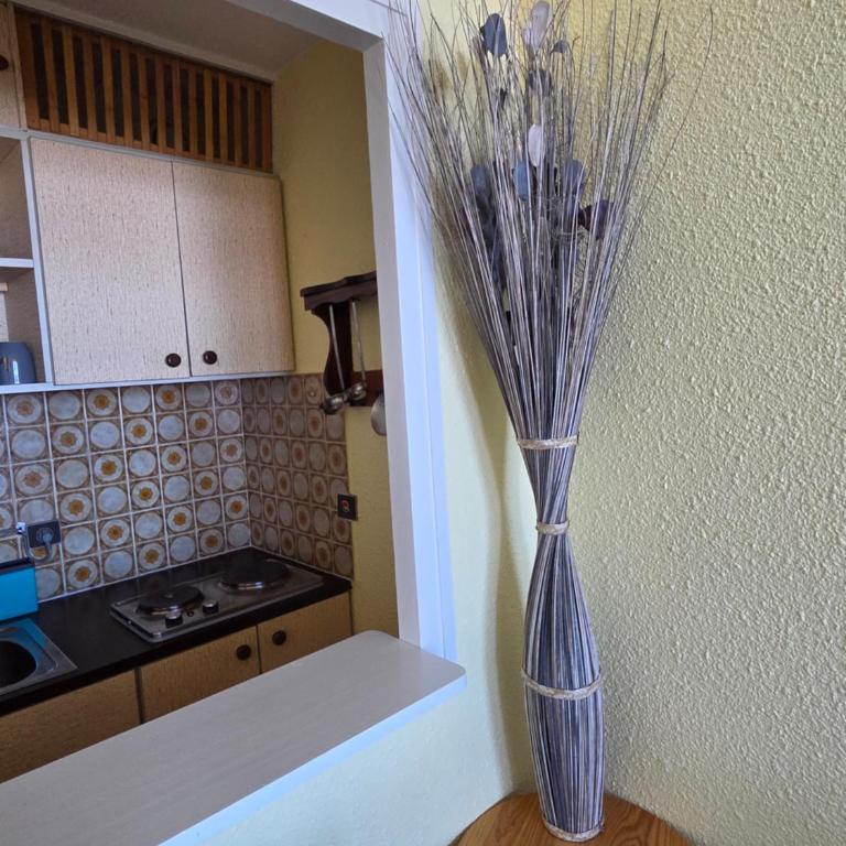 Studio 11 pour 4 personnes - Appartement 2 Chambres - 2