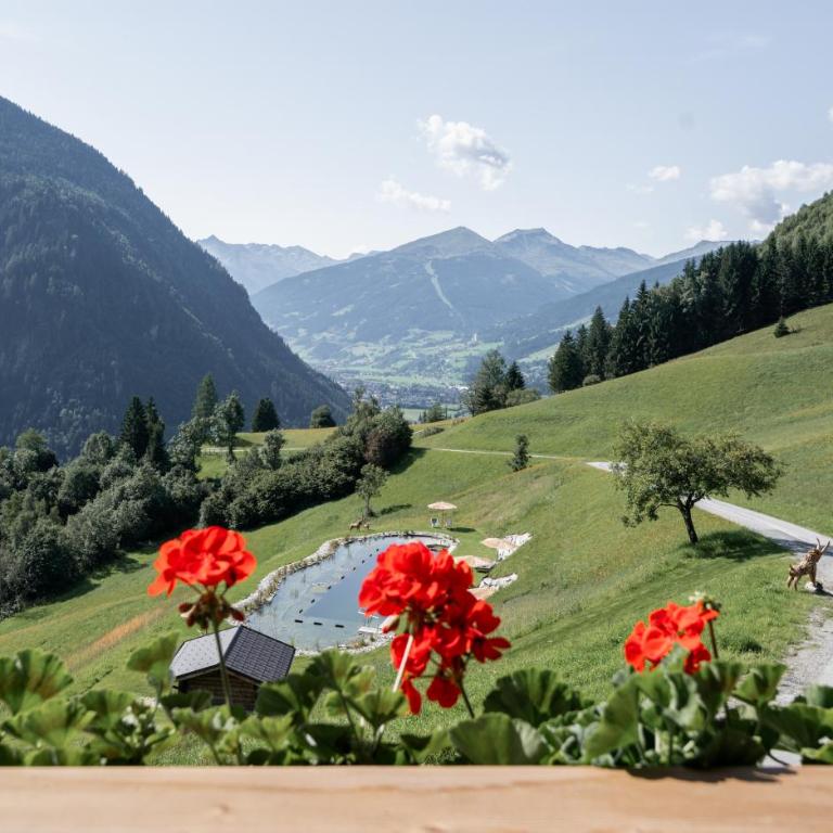 Das Grabnergut - Sommerkarte der Gasteiner Bergbahnen inklusive - Penthouse-Apartment - 20