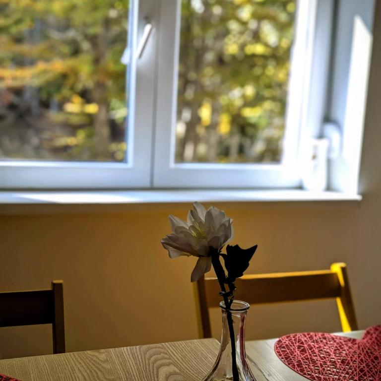 Kopaonička priča - One-Bedroom Apartment - 19