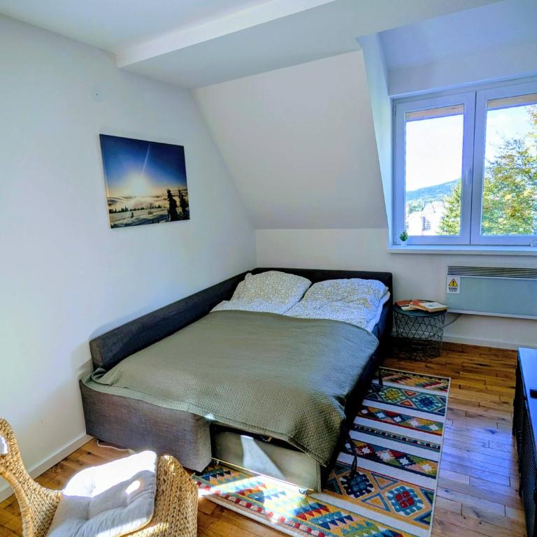 Kopaonička priča - One-Bedroom Apartment - 10