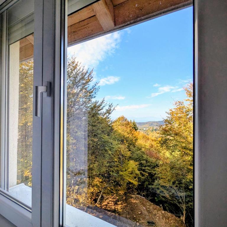 Kopaonička priča - One-Bedroom Apartment - 47