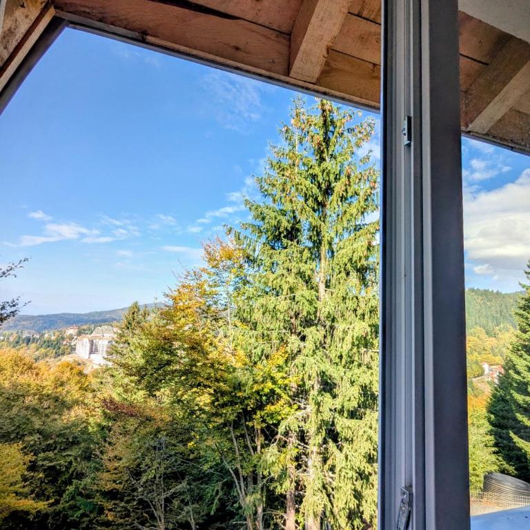 Kopaonička priča - One-Bedroom Apartment - 44