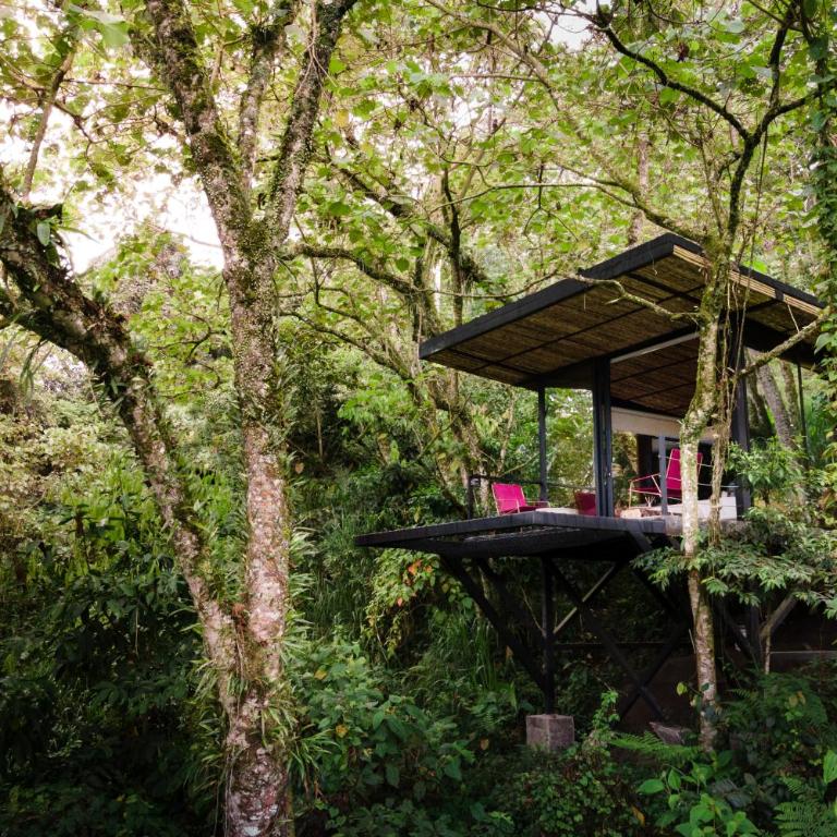 Bio Habitat Hotel - Nest King - 6