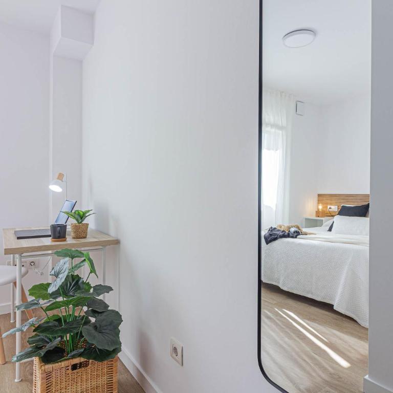 Terreo 10-12 - Apartamento de 1 dormitorio - 12