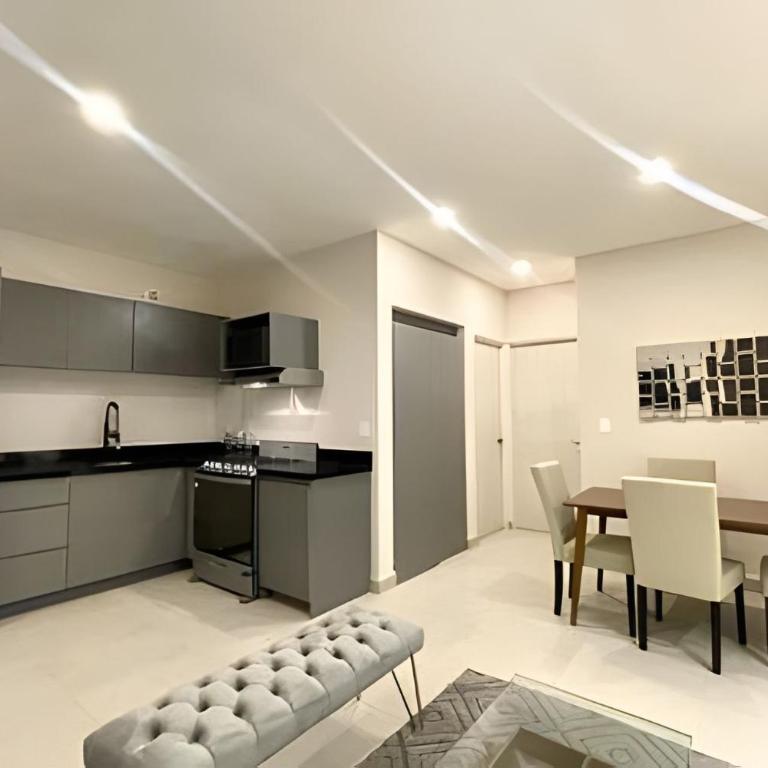 Sophisticated APT/Parking/Co-Work/Gym/BBQ/WiFi/MTY - Apartment - 30