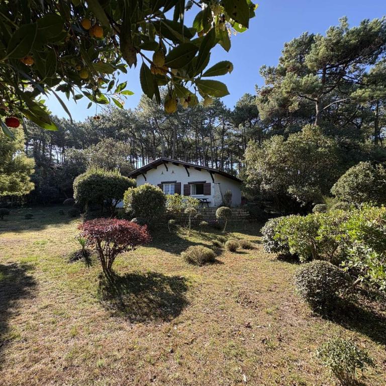 Villa au Calme avec Grand Jardin, Proche Commerces - FR-1-736-67 - Villa - 2
