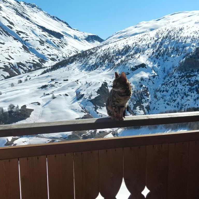 PeakView Apartment - Appartamento con 2 Camere da Letto - 13