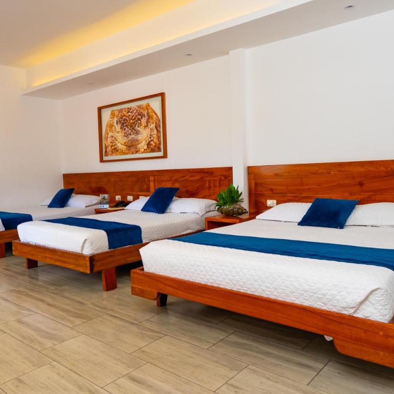 Hotel Ninfa - Suite Familiar - 1