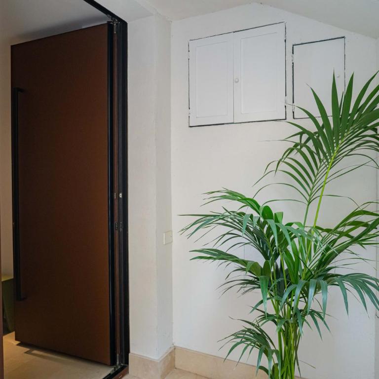 MAVI' Taormina apartments - Casa con 2 Camere da Letto - 23