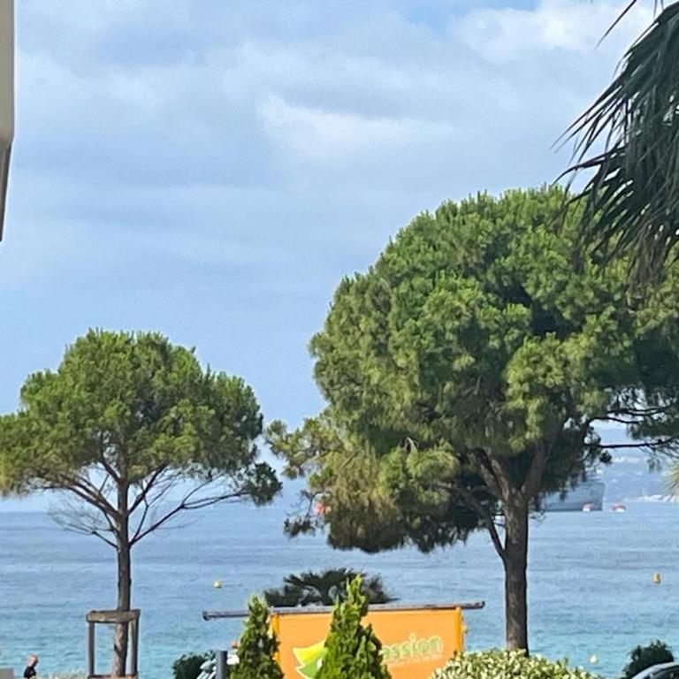 Cannes Croisette 2 suites - à côté du Martinez - Appartement 2 Chambres - 4