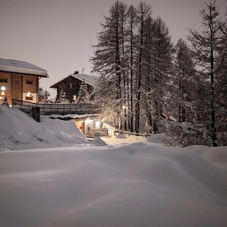 Silva: The Alpine Chalet - Deluxe Apartment - 2