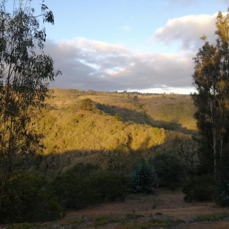 Dormitorio con baño privado en parcela con piscina - Casa de 3 dormitorios - 10