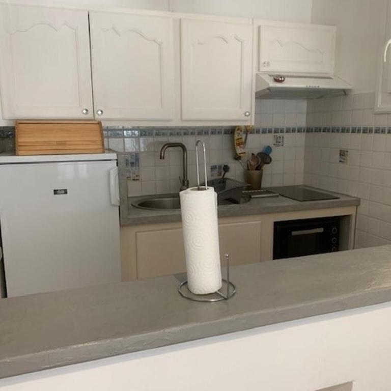 T2 lumineux avec balcon près des Thermes - FR-1-503-144 - Appartement - 12