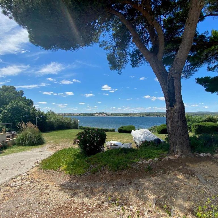 Charmant T2 avec terrasse - Animaux admis - FR-1-503-155 - Appartement - 13