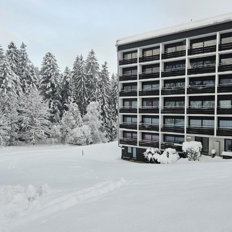 Alpen Studio Ellmau IV - Apartamento de 1 dormitorio con balcón y vistas a la montaña - 21