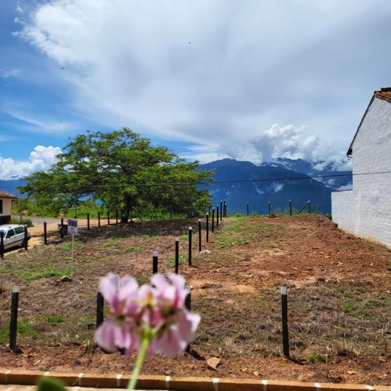 AQUI ESTOY BIEN - Habitación con cama extragrande y vistas a la montaña - 8