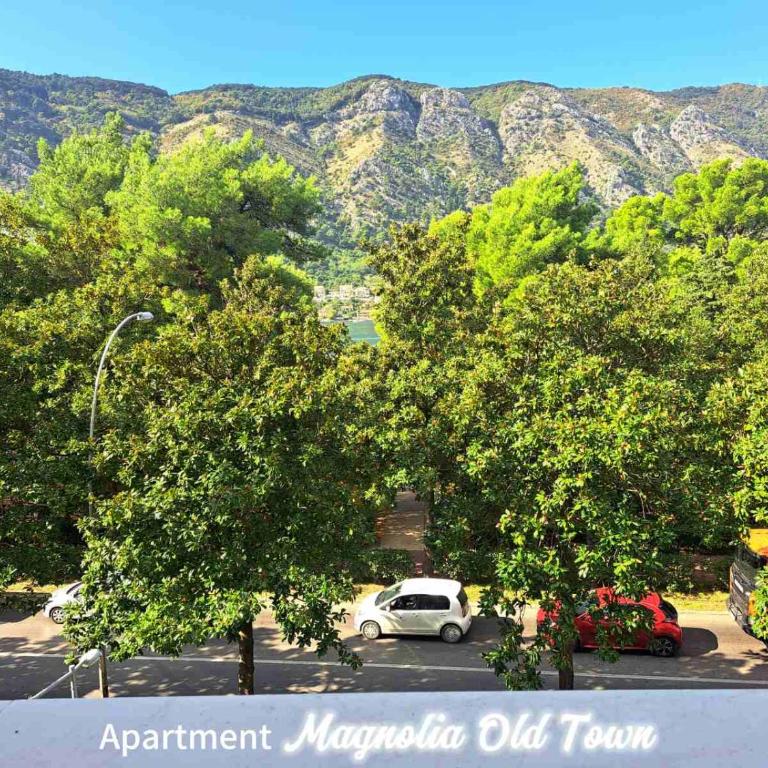 Magnolia Old Town - Apartment - 2