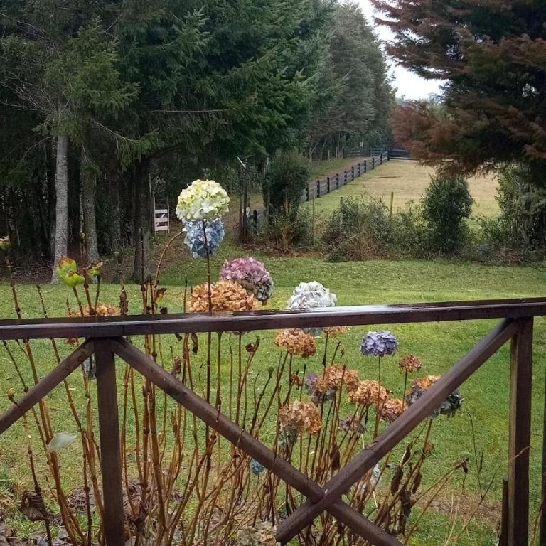 Cabaña en el campo - Casa de 2 dormitorios - 3