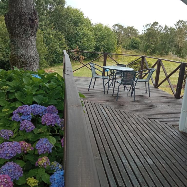 Cabaña en el campo - Casa de 2 dormitorios - 5