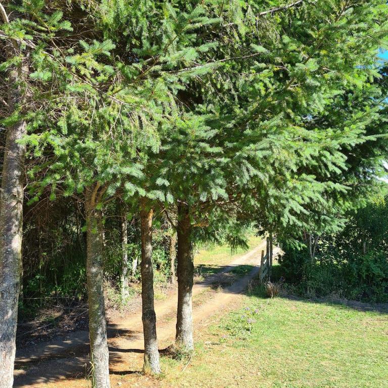 Cabaña en el campo - Casa de 2 dormitorios - 6