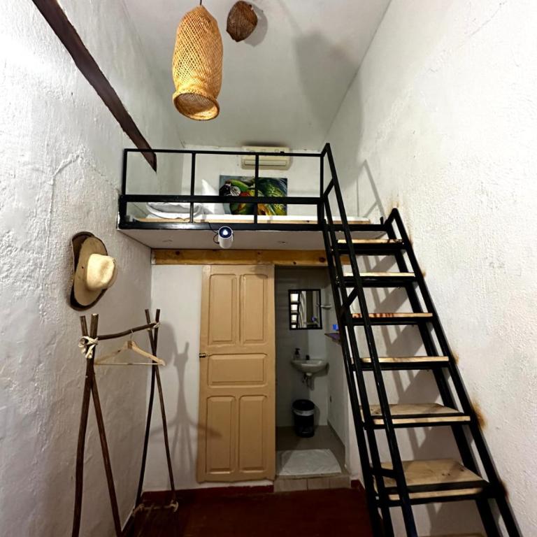 Lotus Centro HIstorico - Budget Double Room - 4
