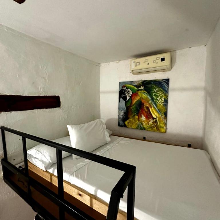 Lotus Centro HIstorico - Budget Double Room - 6