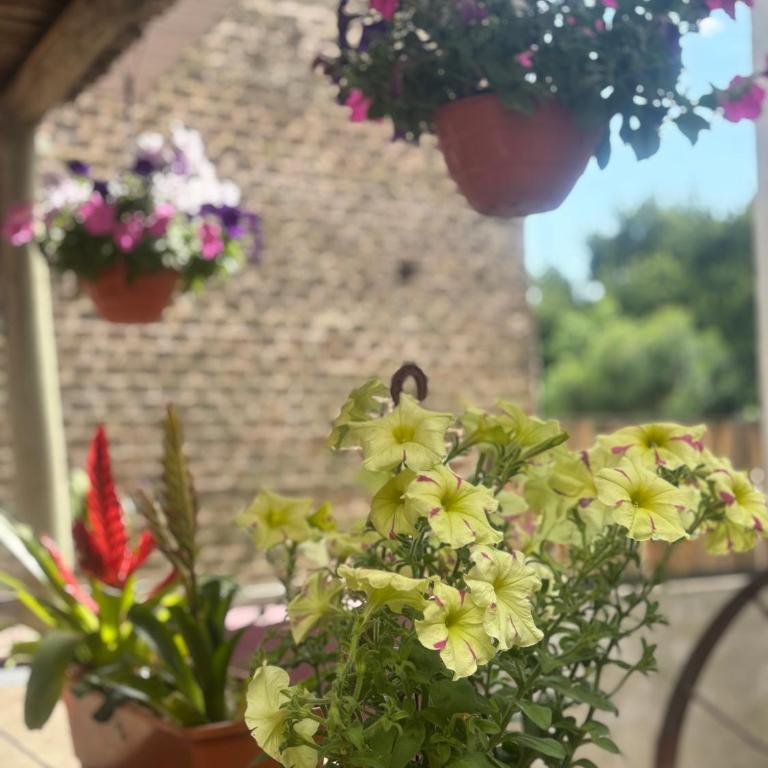 Casa 23 - Apartamento de 1 dormitorio - 5