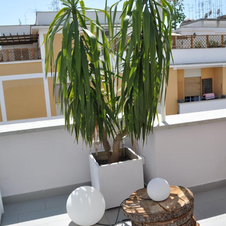 Glamroom Luxury Terrace - Camera Matrimoniale Superior con Terrazza e Patio - 26