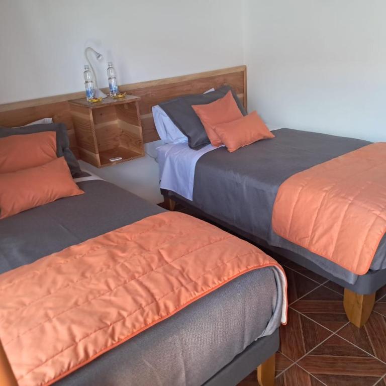 Hostal Malú - Twin Room with Private Bathroom - 11