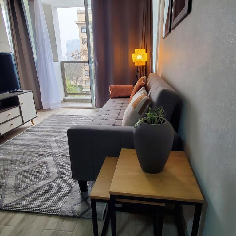 Hermosa Vista Bulnes D505 - Apartamento de 1 dormitorio - 7