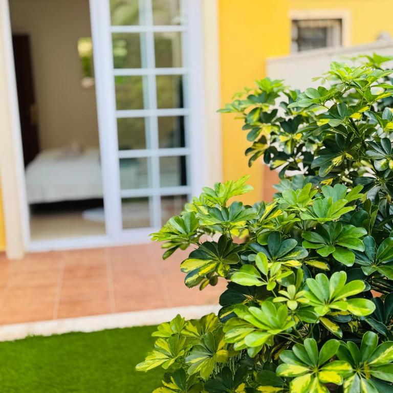 Bright Retreat with Lush Outdoor Space - Apartamento de 1 dormitorio - 11