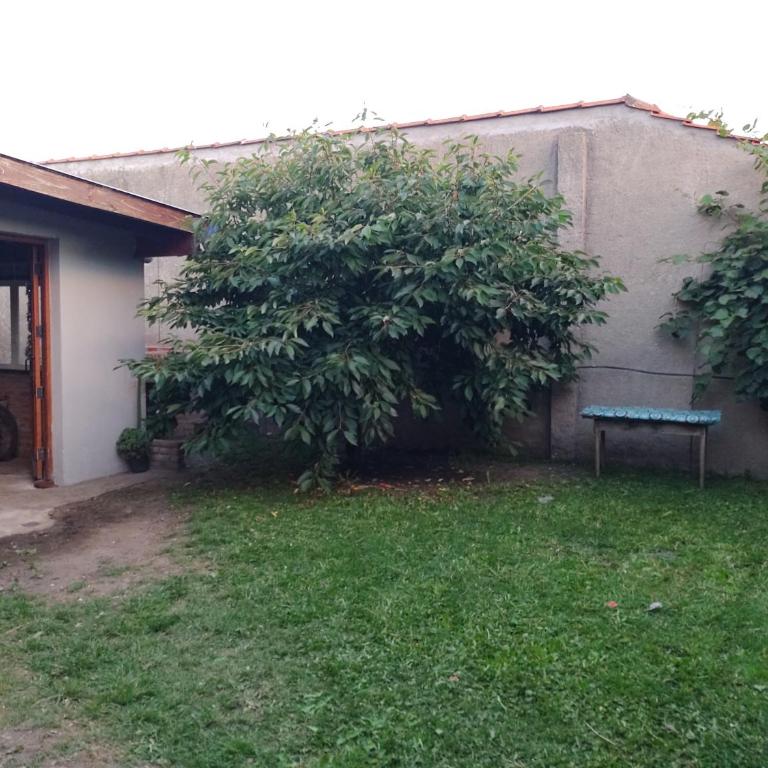 Lo de Charo - One-Bedroom House - 13