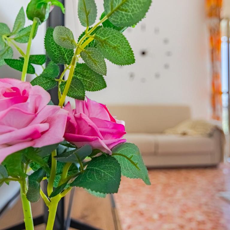 Vintage View-Private Parking Panorama & Comfort - Appartamento con 2 Camere da Letto - 19