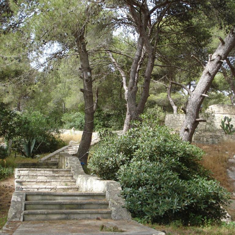 Trullo in the Wood - Appartamento Familiare con 2 Camere da Letto - 15