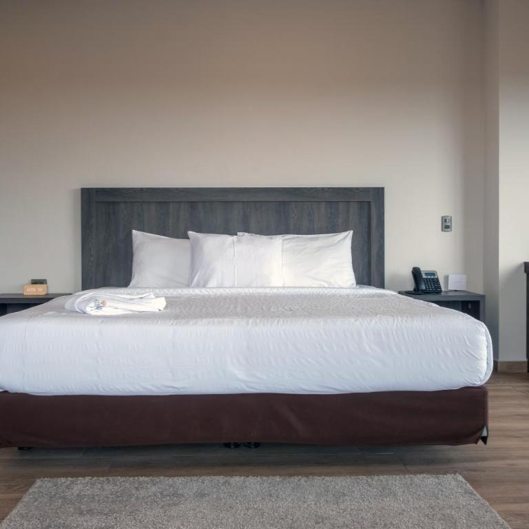 REEC Machala by Oro Verde Hotels - Junior Suite - 8