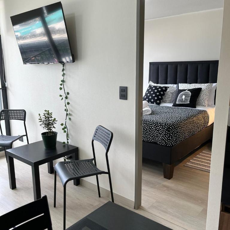 Centenario Concept D1113 - One-Bedroom Apartment - 4