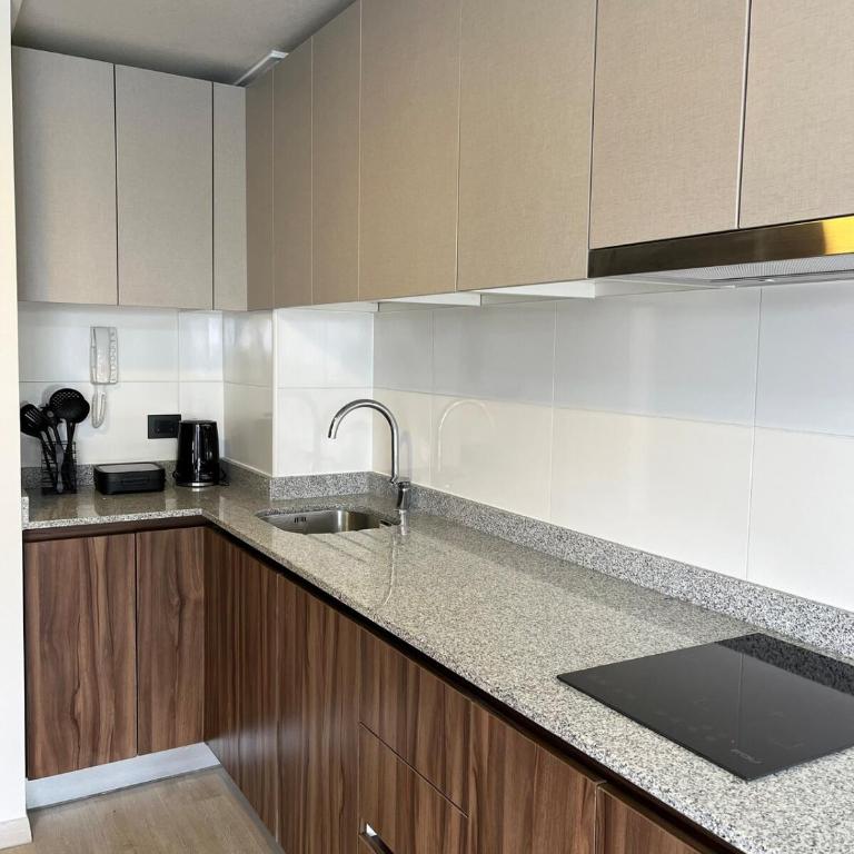 Centenario Concept D1113 - One-Bedroom Apartment - 28