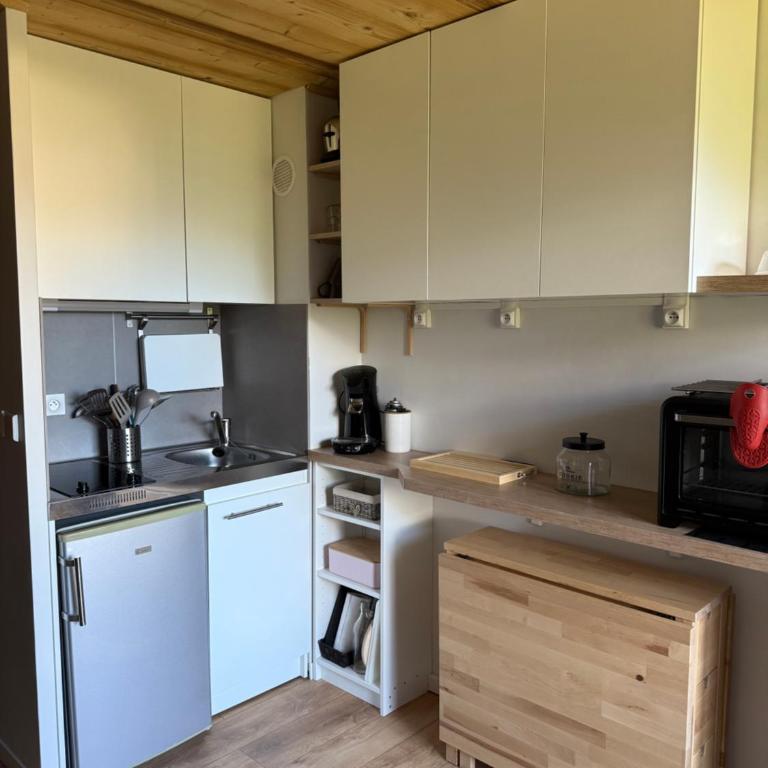 les montagnes - Appartement 2 Chambres - 11