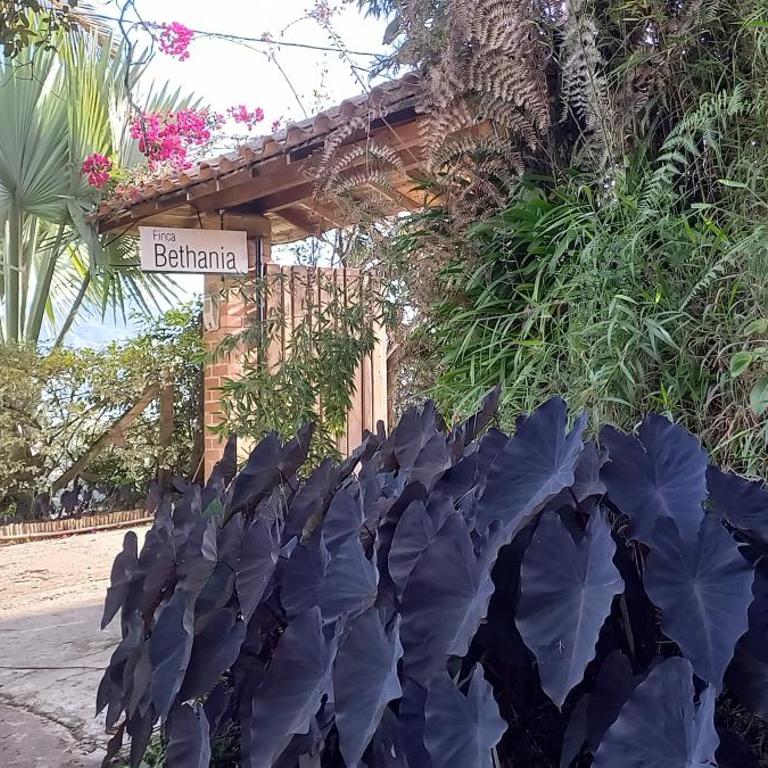 Casa de Campo Bheta - Casa de 4 dormitorios - 27