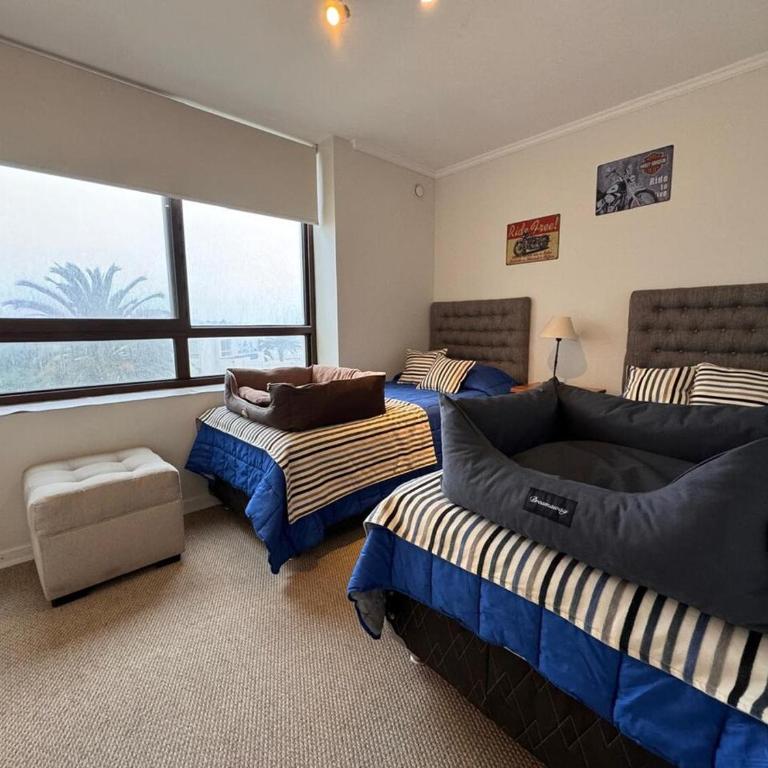 Beachfront apartment next to the casino - Three-Bedroom Apartment - 2