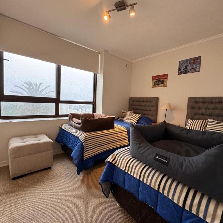 Beachfront apartment next to the casino - Three-Bedroom Apartment - 13