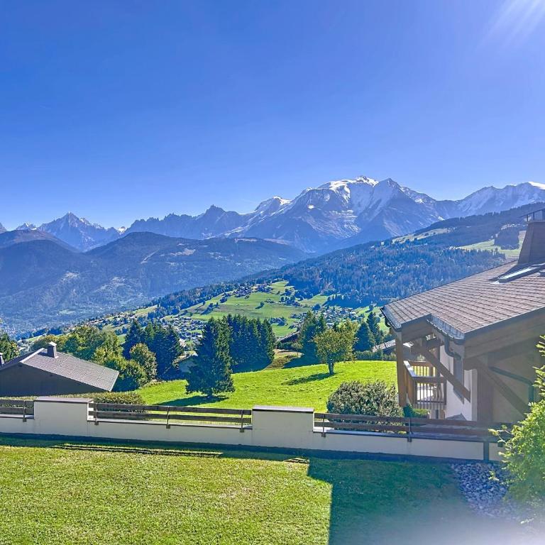 Appartement 2 chambres, vue Mont Blanc, parking inclus - Appartement 2 Chambres - 1
