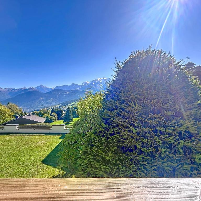 Appartement 2 chambres, vue Mont Blanc, parking inclus - Appartement 2 Chambres - 7