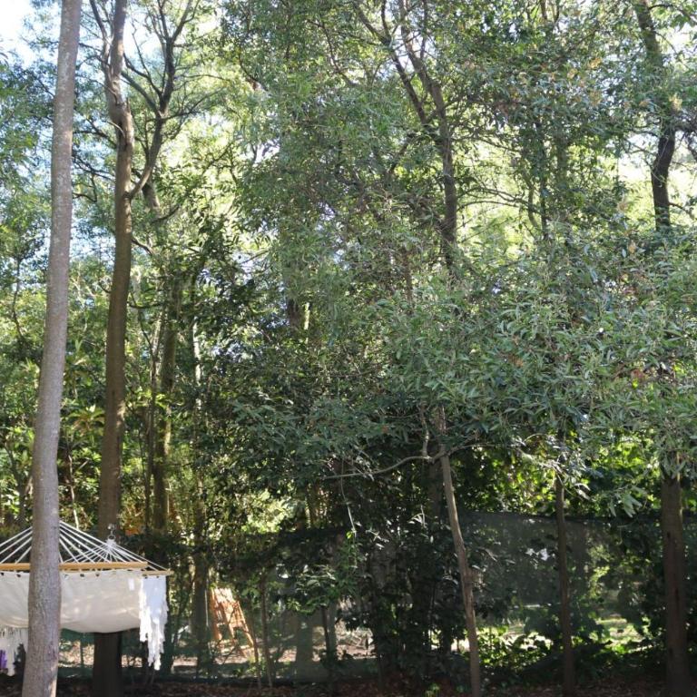 cabañas huarpes - Casa - 17