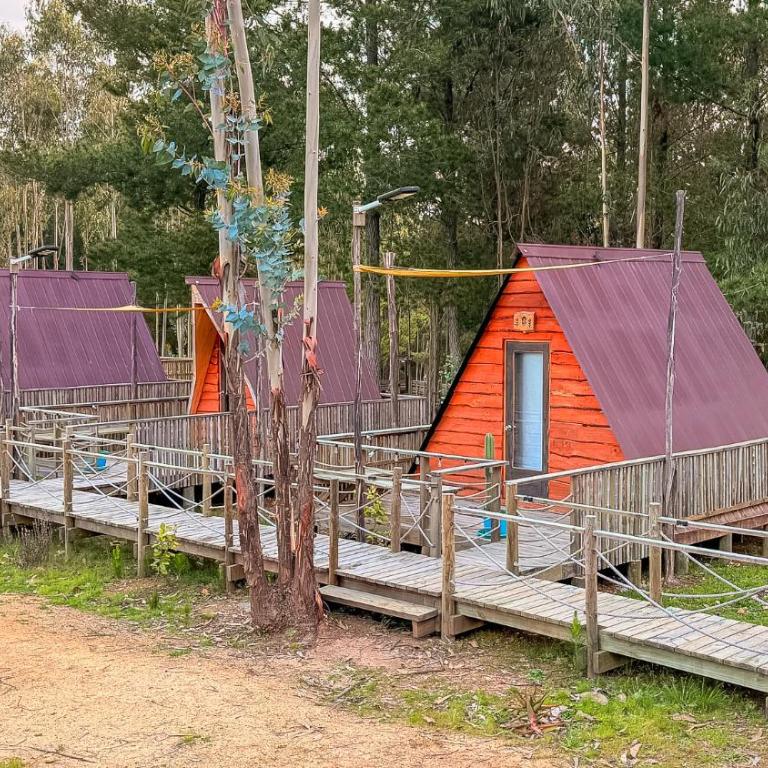 Glamping Eluney Bucalemu - Tent - 9