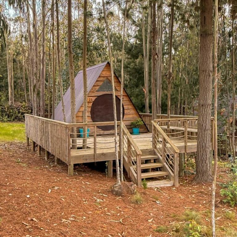Glamping Eluney Bucalemu - Tent - 2