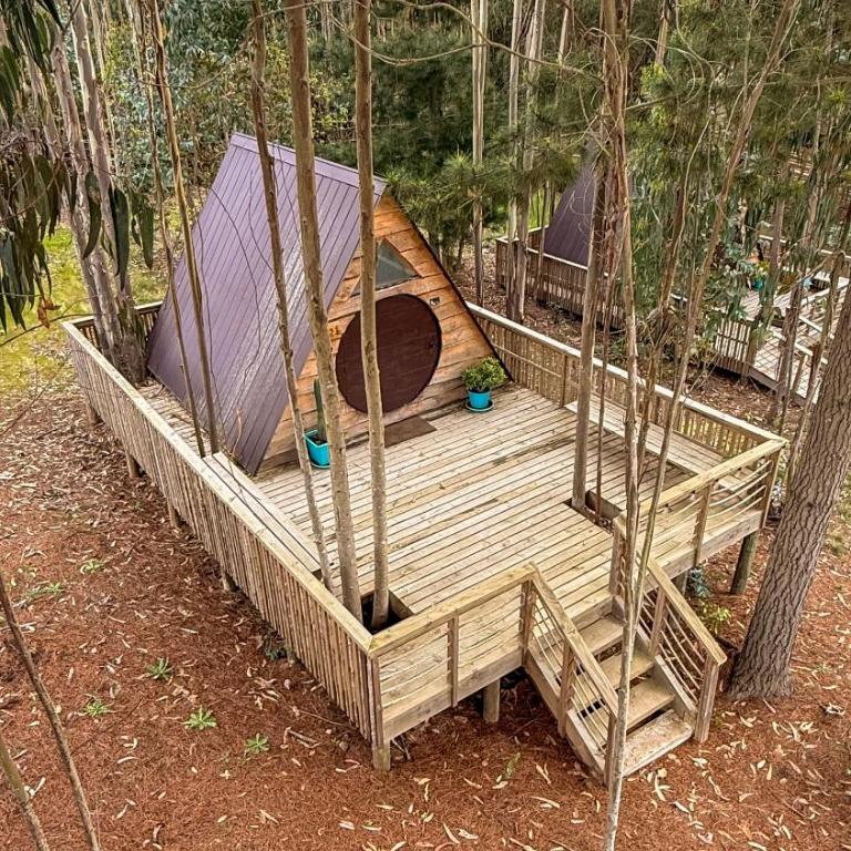 Glamping Eluney Bucalemu - Tent - 16