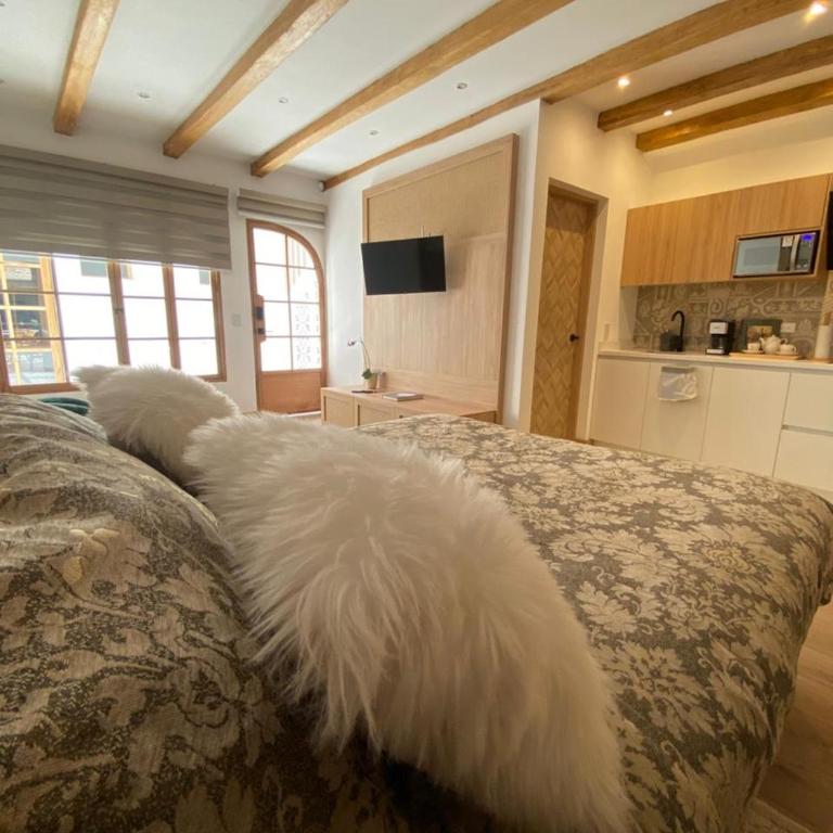 Suites Modernas Coloniales en el Centro Histórico de Cuenca - Apartamento Deluxe - 18